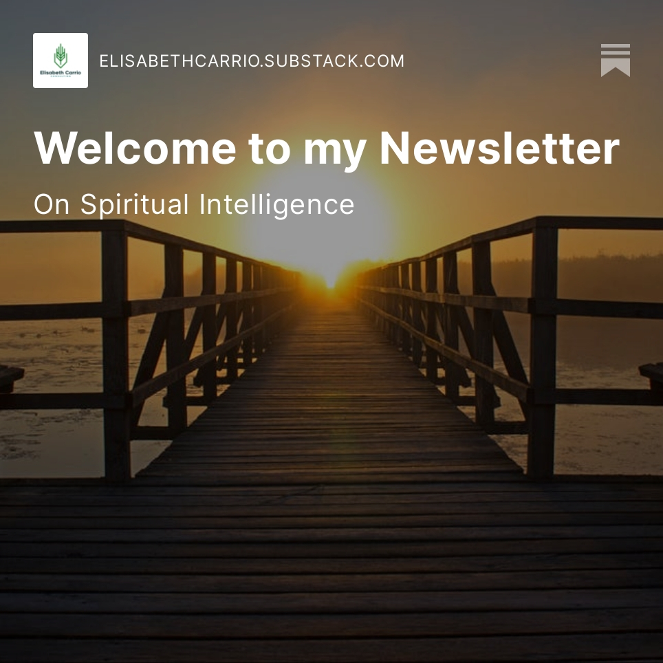 Newsletter on spiritual intelligence