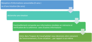 process de la conscience